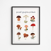 Poster Polish Mushroom Posters 30x40
