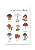 Polish Mushroom Postcard
