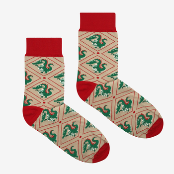 Socks Cracow Dragon