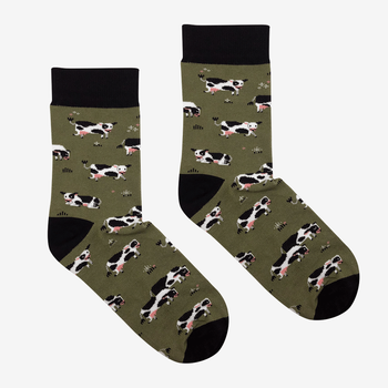 Socks Cows
