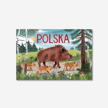 Pocztówka Dziki