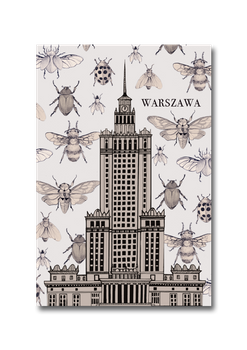 Pocztówka Pałac Owady