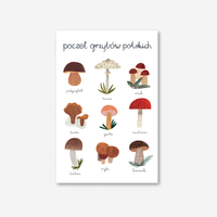 Pocztówka Poczet Grzybów Polskich