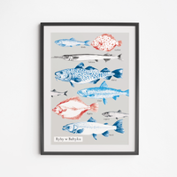 Plakat Ryby Bałtyckie 40x50